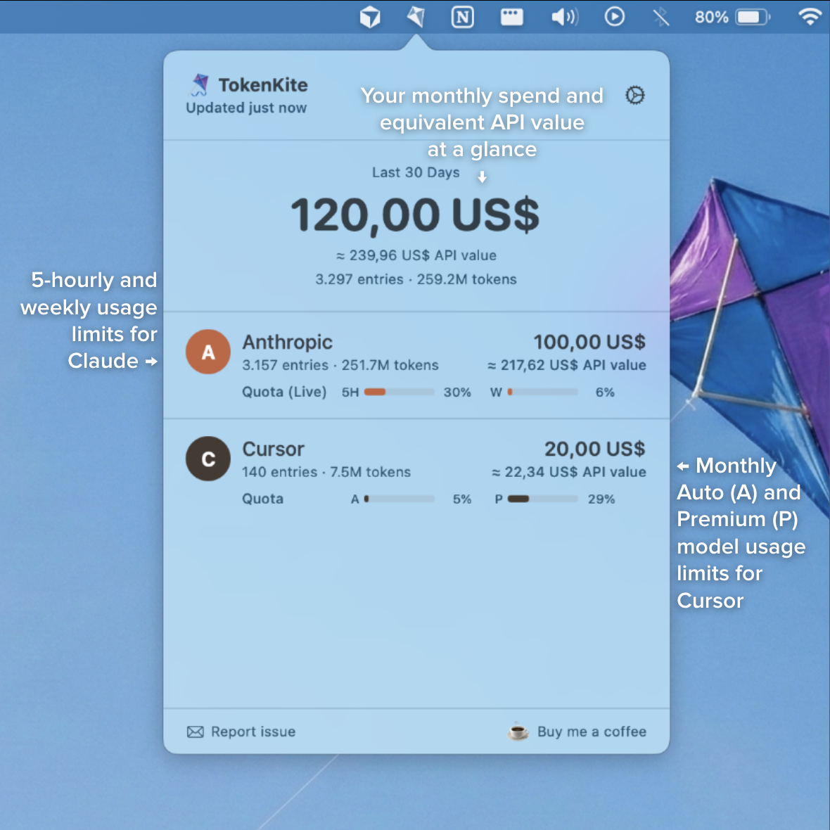 TokenKite main page showing monthly spend and API value at a glance